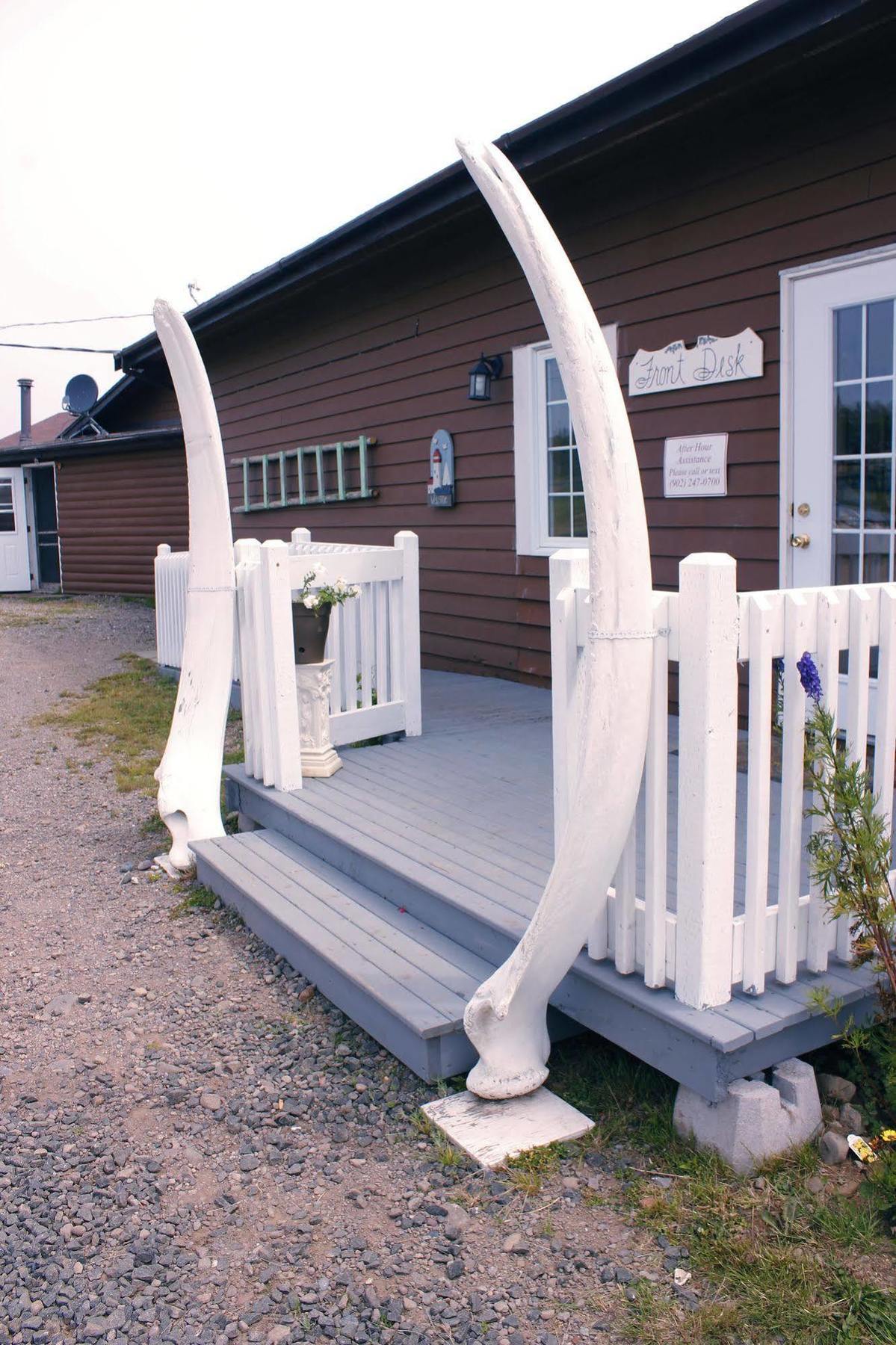Brier Island Lodge Westport Exterior photo